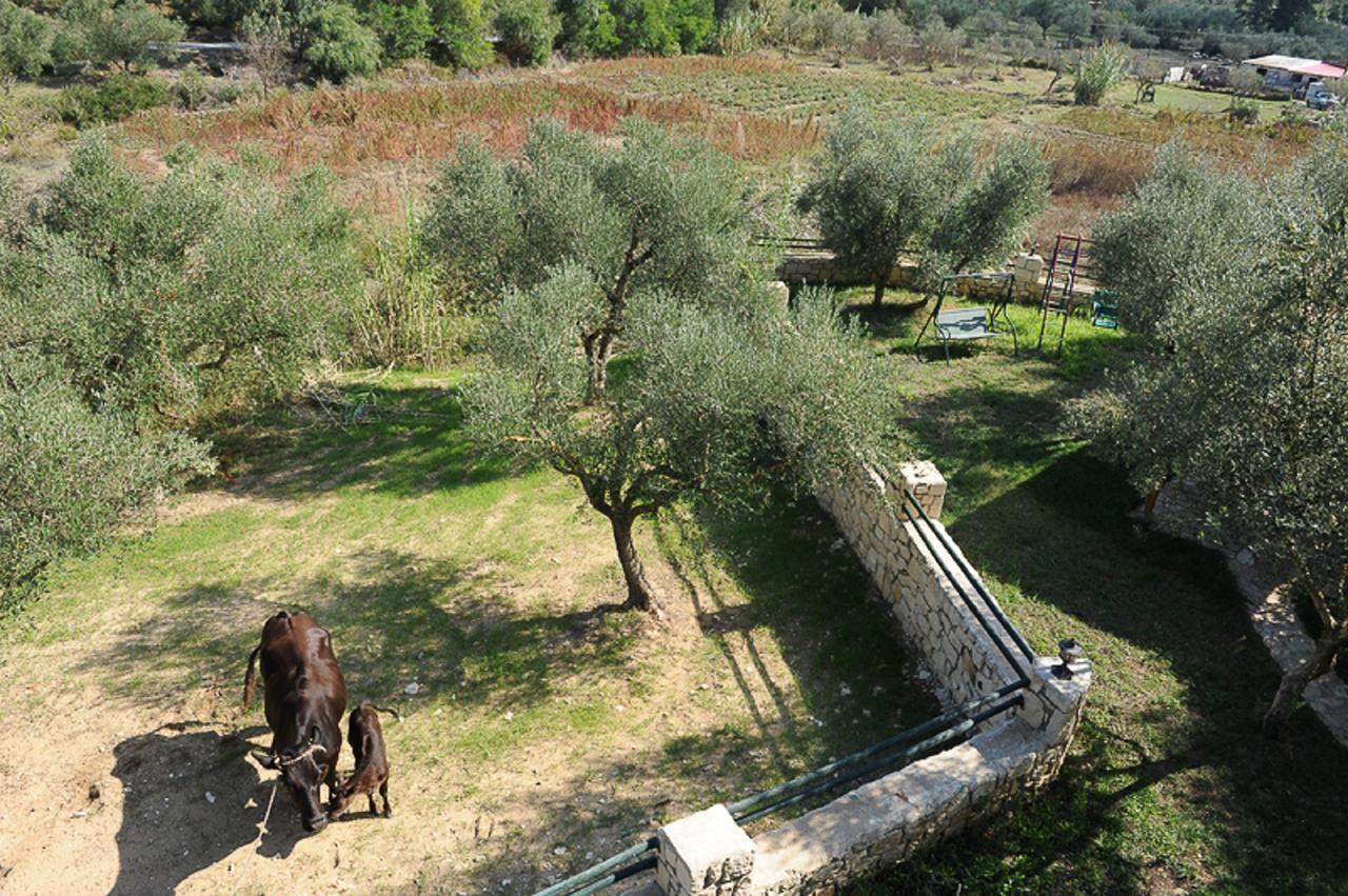 Ammos Zante Villas Vasilikos  Bagian luar foto